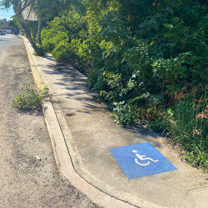 Wheelchair ramp with trees blocking the sidewalk not allowing anyone in a wheelchair to use the sidewalk once the access it with a ramp. 
