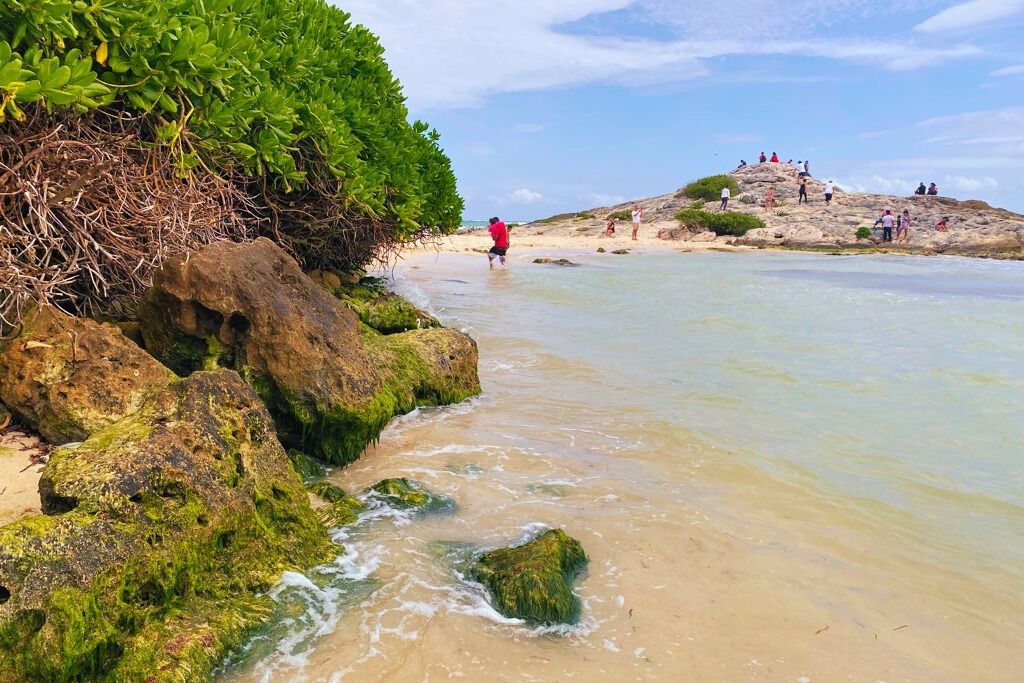 Playa Mirador is Tulum's one and only completely free beach. It's worth a visit in 2024. 