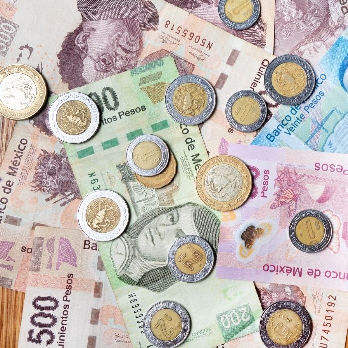Variety of mexican pesos in bills and coins