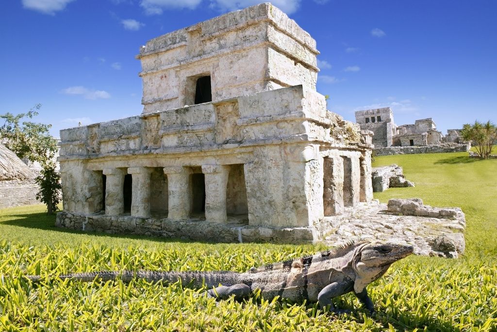 Iguana in front of the Mayan ruins in Tulum National Park. A must-visit during your travels to Tulum.