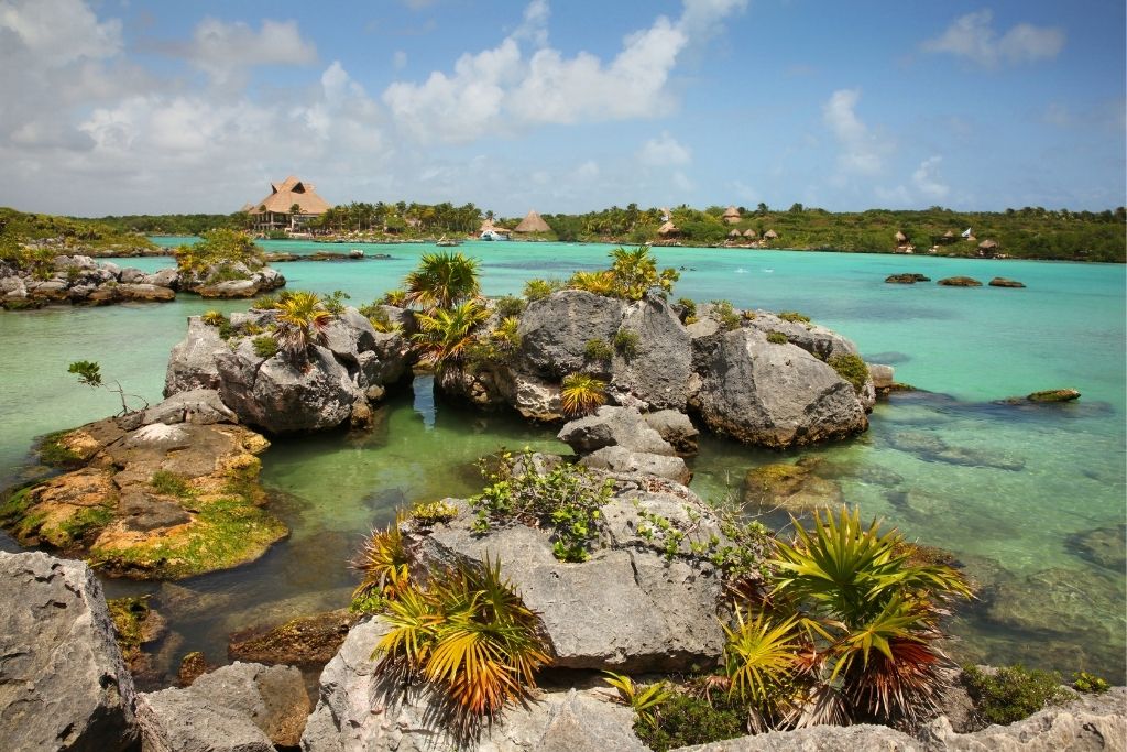 Xel-Ha, a huge natural water park is definitely worth a visit in 2024 .