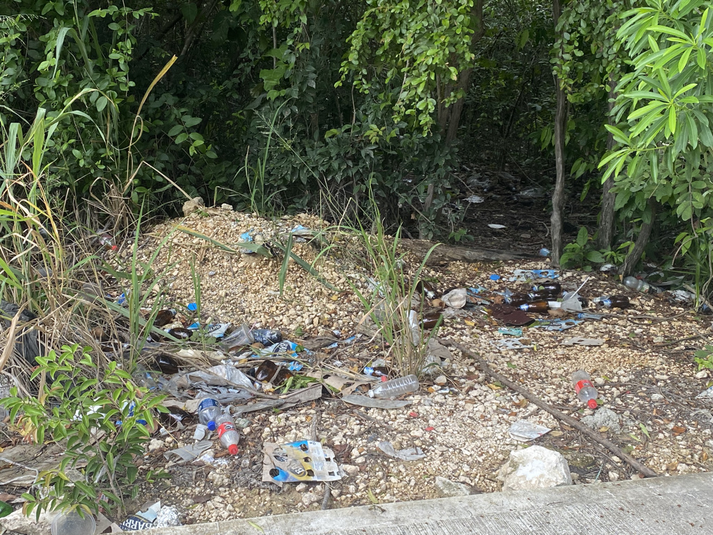 Trash in Tulum is really unsightly. It's a good reason to skip Tulum in favorite of places that have waste management better handled. 